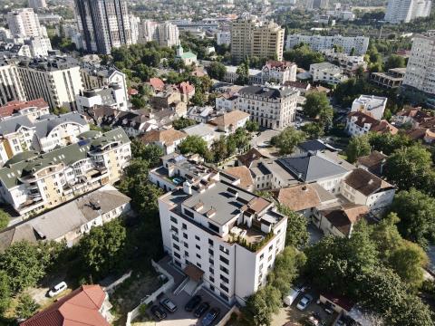 Milanin: Замфир Арборе: 5