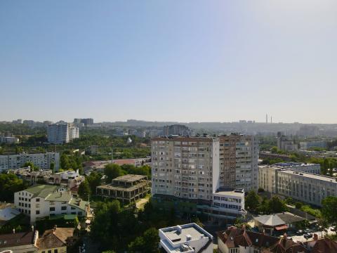 Dansicons: Petru Rareş: 7