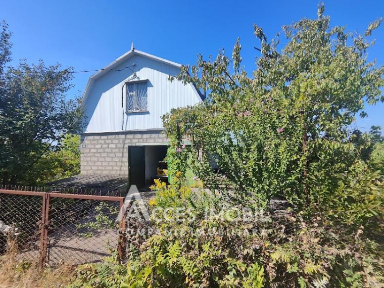 House on 3 levels! IP Bostancea, Trușeni, 90m2 + 7 acres!: 0