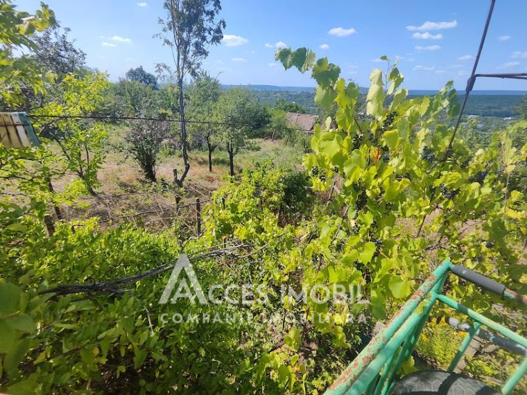 House on 3 levels! IP Bostancea, Trușeni, 90m2 + 7 acres!: 10