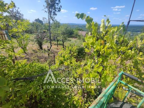 House on 3 levels! IP Bostancea, Trușeni, 90m2 + 7 acres!: 10