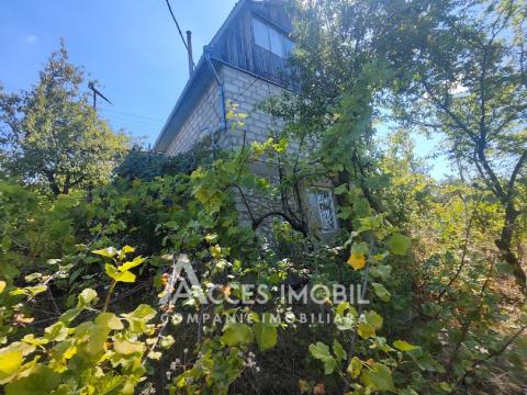 House on 3 levels! IP Bostancea, Trușeni, 90m2 + 7 acres!: 11