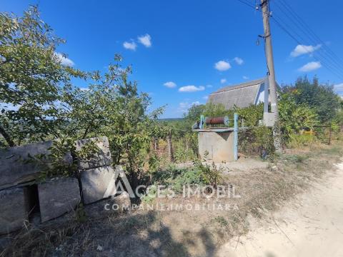 House on 3 levels! IP Bostancea, Trușeni, 90m2 + 7 acres!: 13
