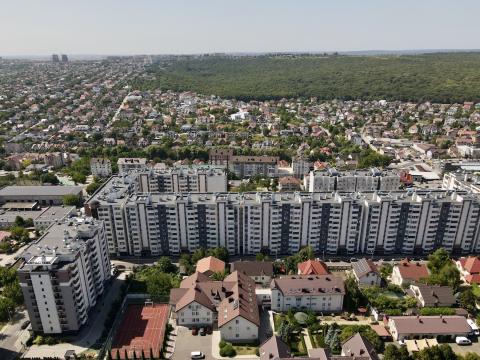 Exfactor: Ion Buzdugan 1, 3, 5: 5