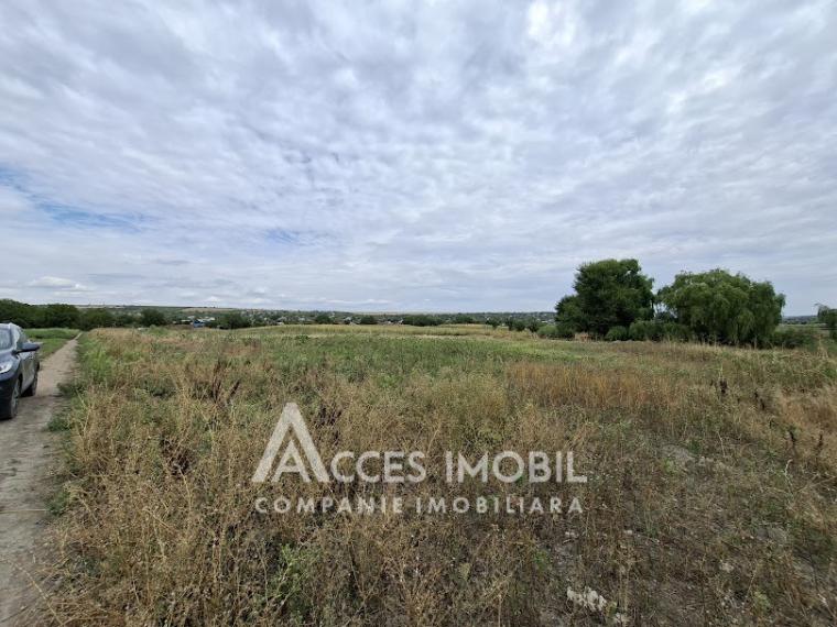 Земля сельскохозяйственного назначения 50 соток! село Бык, ул. Грэдинарилор!: 1