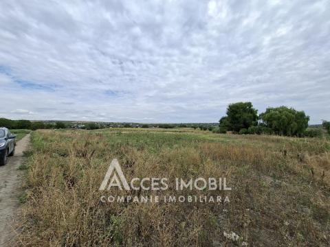 Земля сельскохозяйственного назначения 50 соток! село Бык, ул. Грэдинарилор!: 1