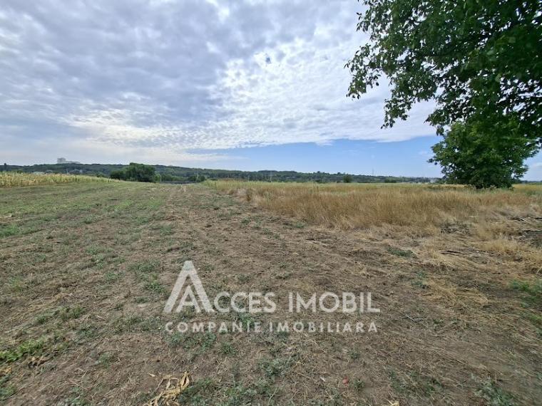 Земля сельскохозяйственного назначения 50 соток! село Бык, ул. Грэдинарилор!: 0