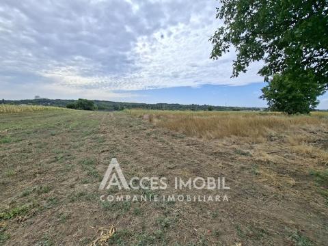 Terenuri de vânzare în Chișinău: Bîc, str. Grădinarilor