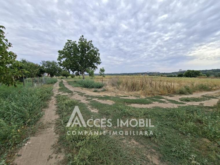 Земля сельскохозяйственного назначения 50 соток! село Бык, ул. Грэдинарилор!: 2