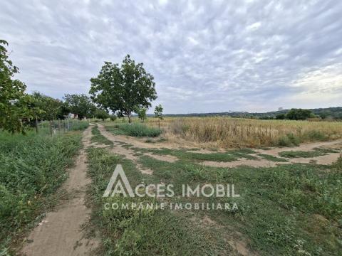 Земля сельскохозяйственного назначения 50 соток! село Бык, ул. Грэдинарилор!: 2