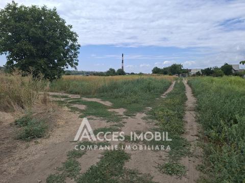 Земля сельскохозяйственного назначения 50 соток! село Бык, ул. Грэдинарилор!: 3