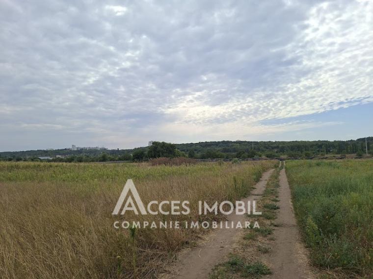 Земля сельскохозяйственного назначения 50 соток! село Бык, ул. Грэдинарилор!: 4