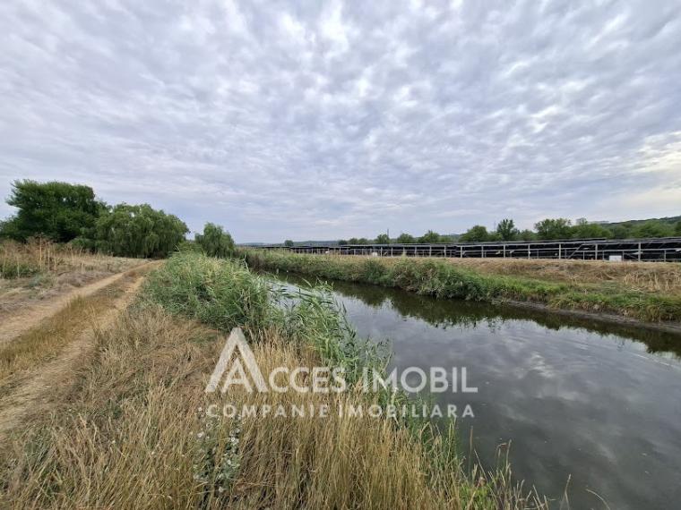 Земля сельскохозяйственного назначения 50 соток! село Бык, ул. Грэдинарилор!: 6