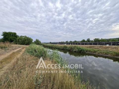 Земля сельскохозяйственного назначения 50 соток! село Бык, ул. Грэдинарилор!: 6