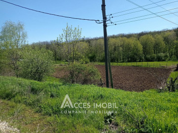Lot of agricultural land 19 aries! Condrita, Stefan cel Mare street!