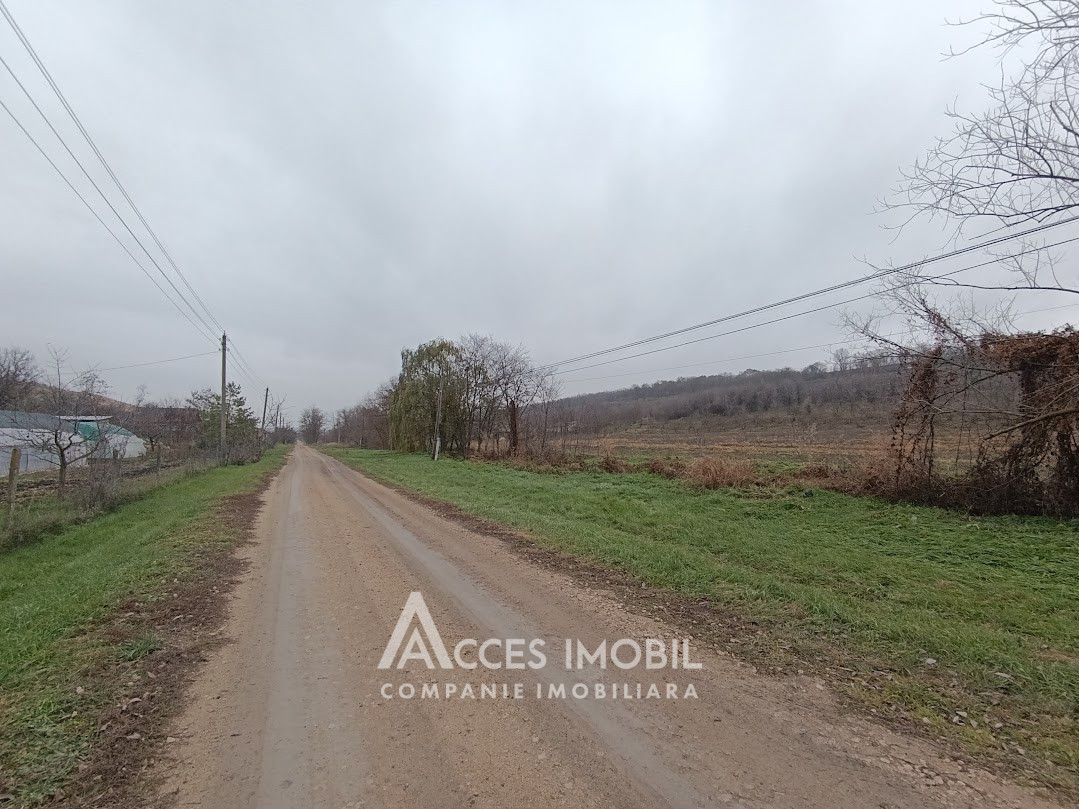 Lot De Teren Agricol Ari Dolinnoe Valea Coloni Ei